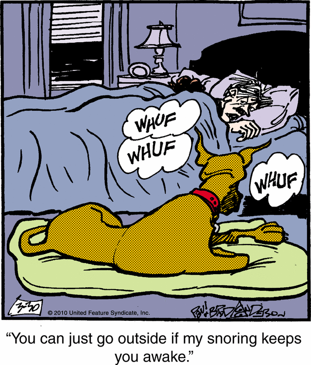 marmaduke